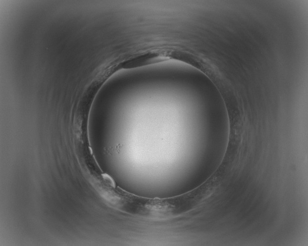 X0000081270693200701111306