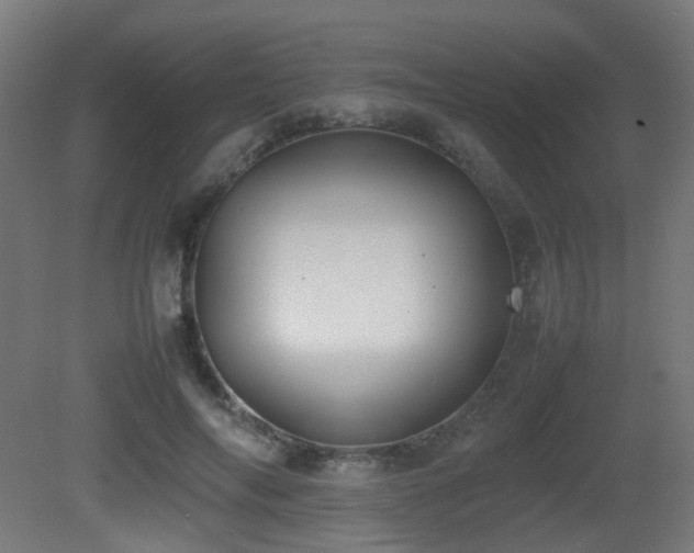 X0000081270694200701111306