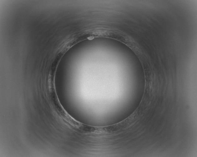 X0000081270696200701111306