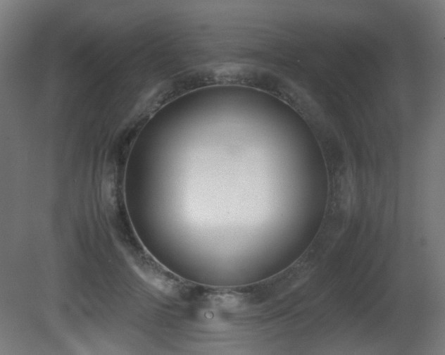 X0000081270698200701111306