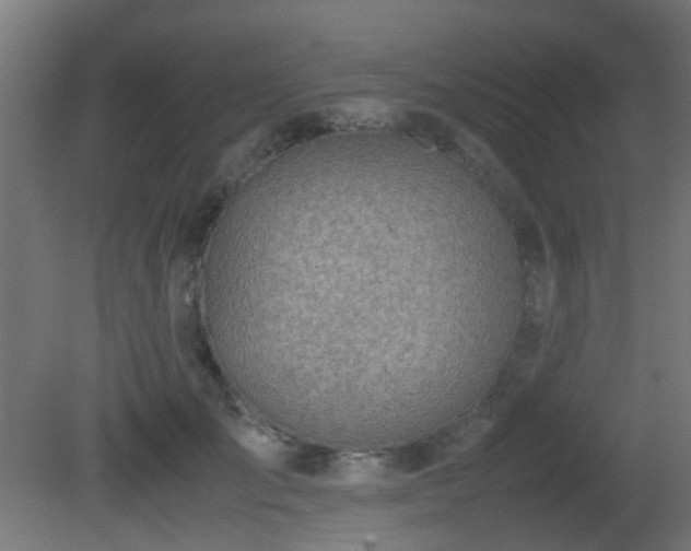 X0000081270701200701111306