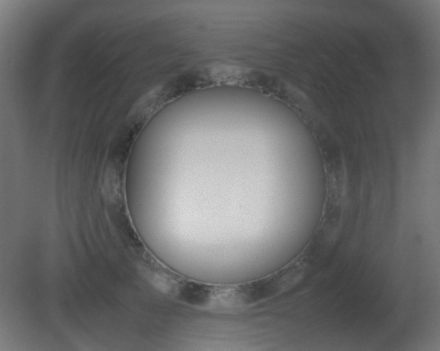 X0000081270705200701111306