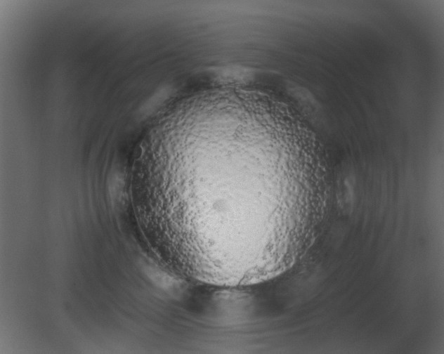 X0000081270714200701111306