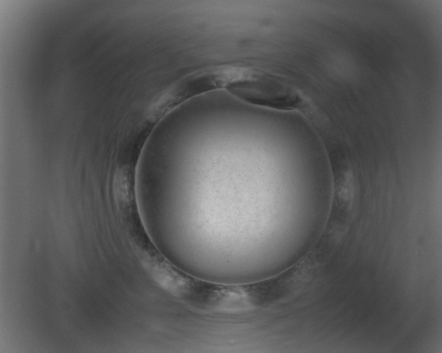 X0000081270715200701111306