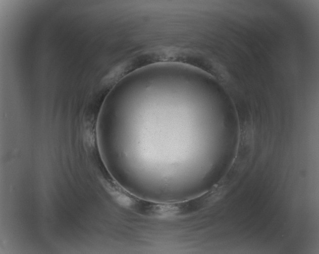 X0000081270719200701111306