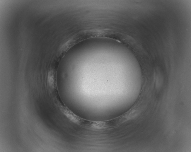 X0000081270720200701111306