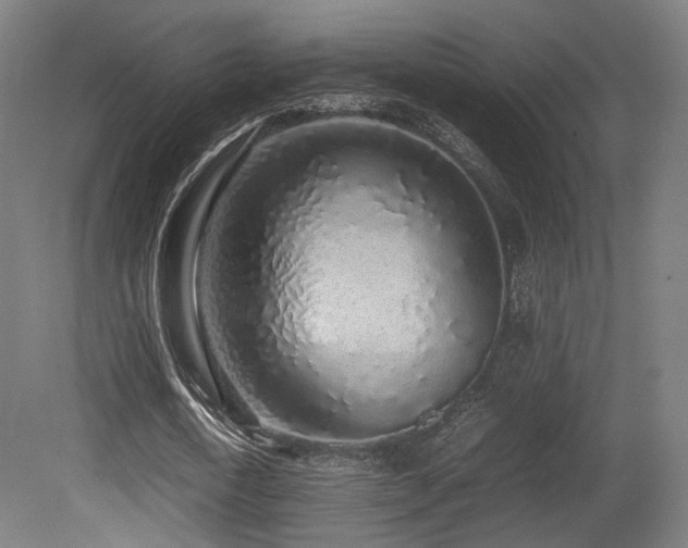 X0000081270722200701111305