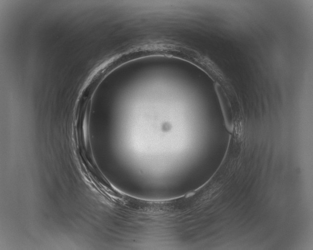 X0000081270724200701111305