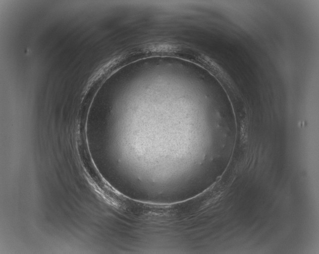 X0000081270725200701111305