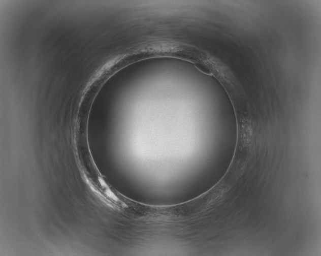 X0000081270726200701111305