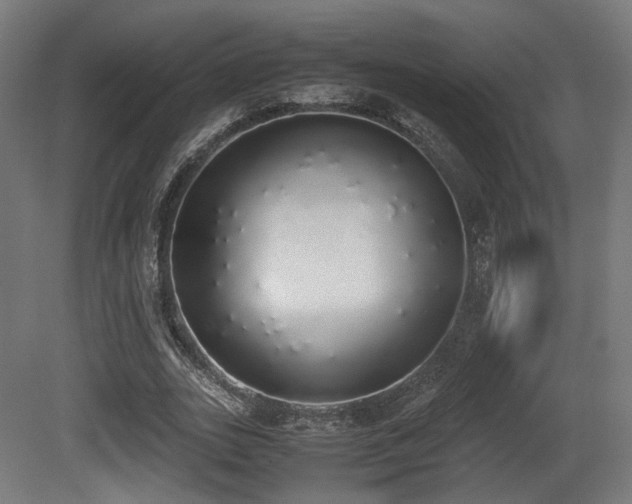 X0000081270727200701111305
