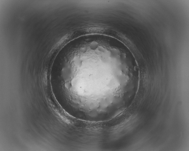 X0000081270729200701111305