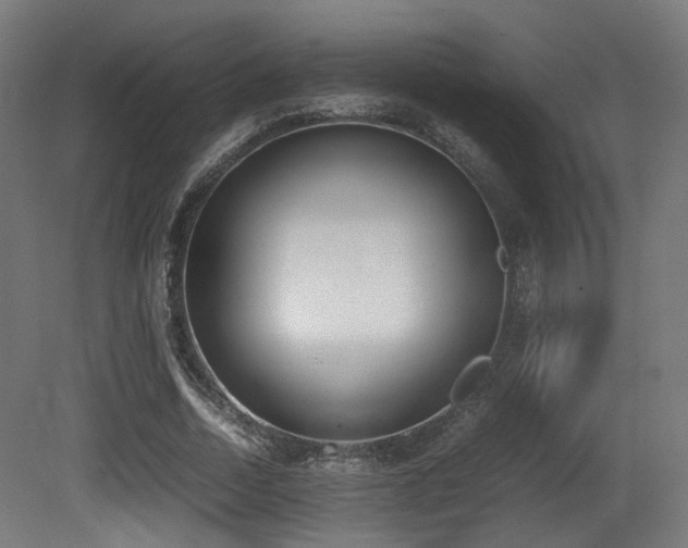 X0000081270730200701111305