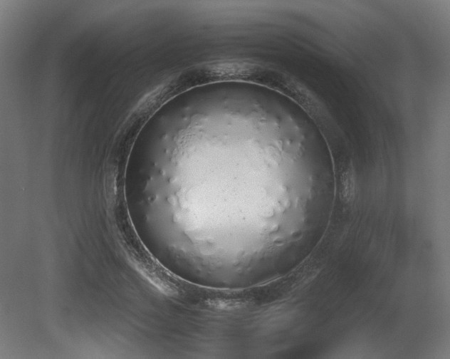 X0000081270733200701111305