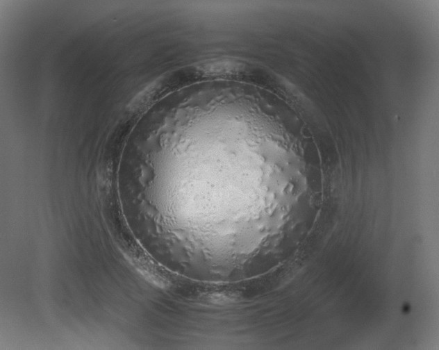 X0000081270737200701111305