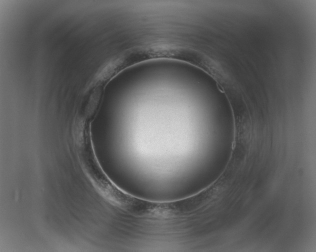 X0000081270742200701111305