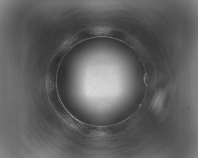 X0000081270743200701111305