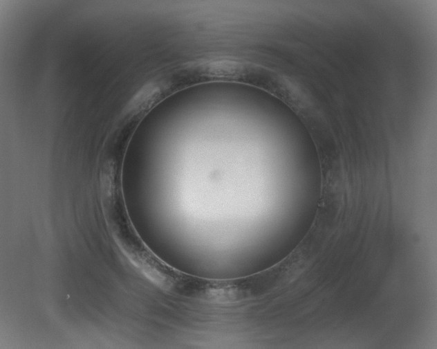 X0000081270744200701111306
