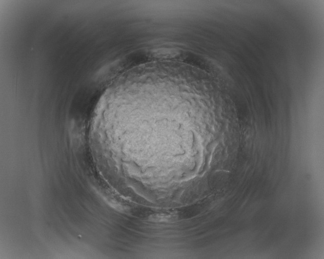 X0000081270745200701111306