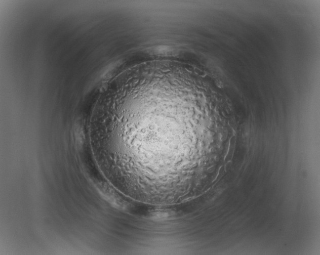 X0000081270746200701111306