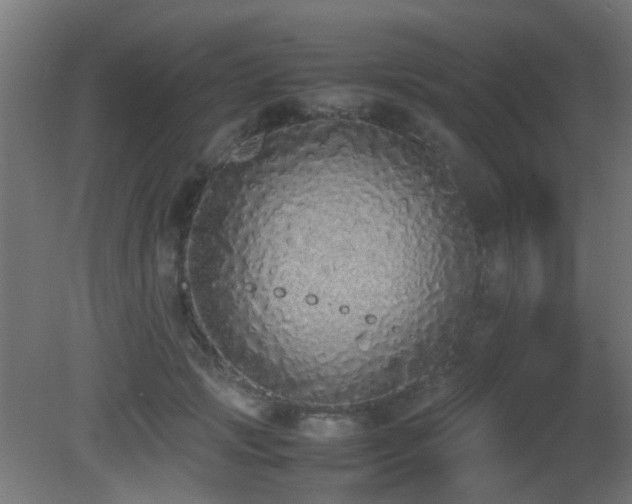 X0000081270749200701111306