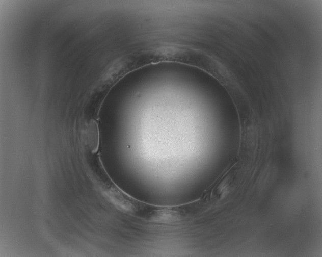 X0000081270750200701111306