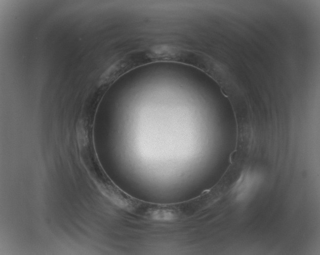 X0000081270751200701111306