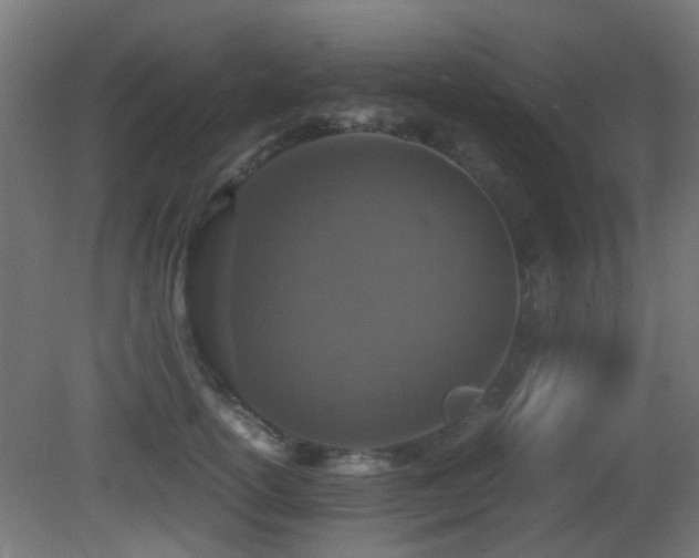 X0000081270754200701111306