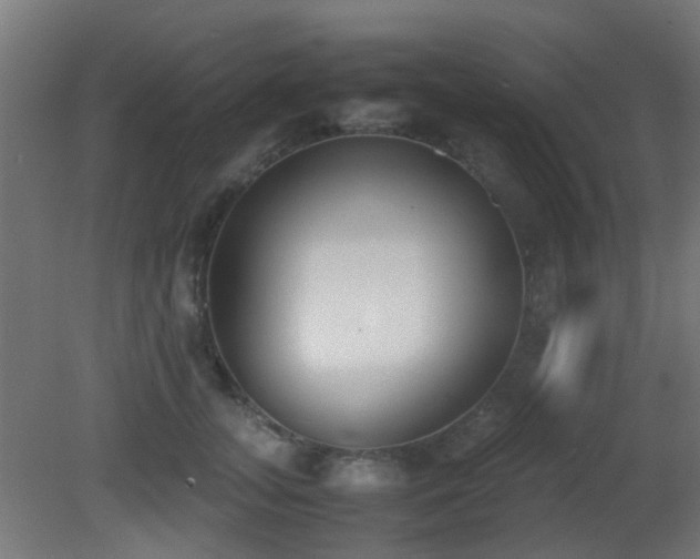 X0000081270755200701111306