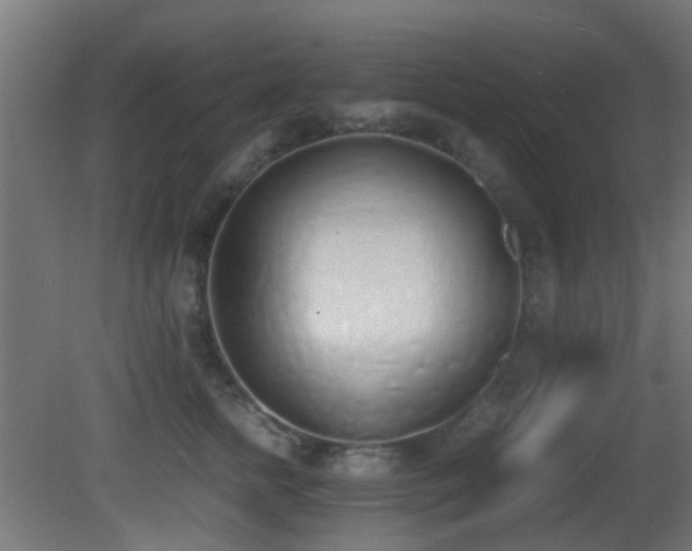 X0000081270758200701111306