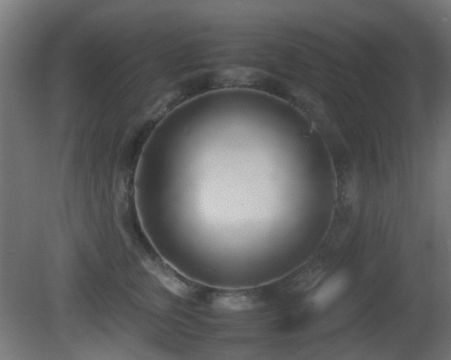 X0000081270759200701111306