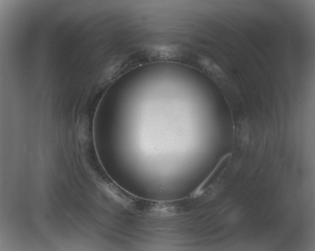 X0000081270760200701111306