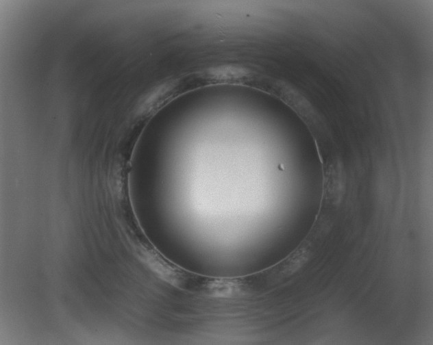 X0000081270762200701111306