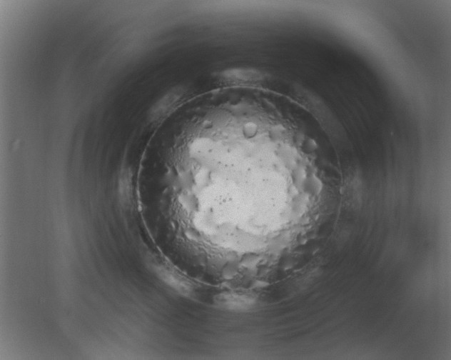 X0000081270765200701111306