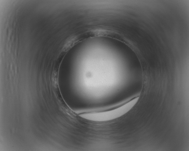 X0000081270766200701111306