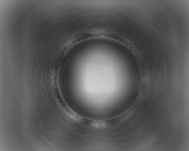 X0000081270767200701111306