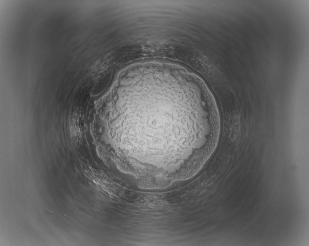 X0000081270770200701111305