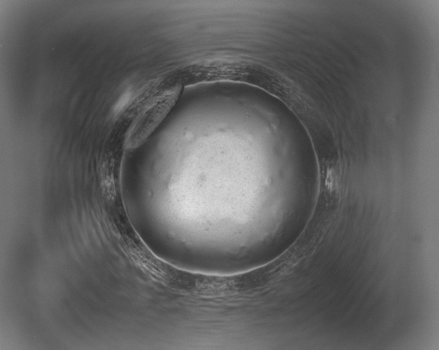 X0000081270771200701111305