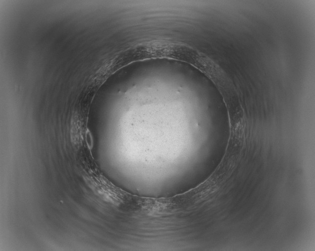 X0000081270772200701111305