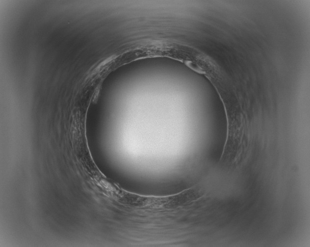 X0000081270773200701111305