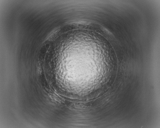 X0000081270774200701111305
