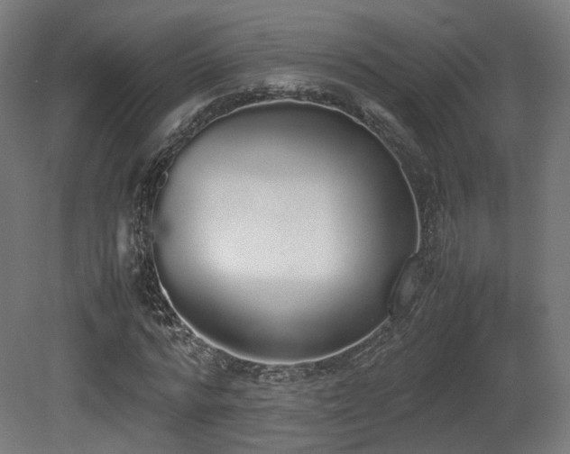 X0000081270776200701111305