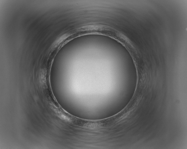 X0000081270778200701111305