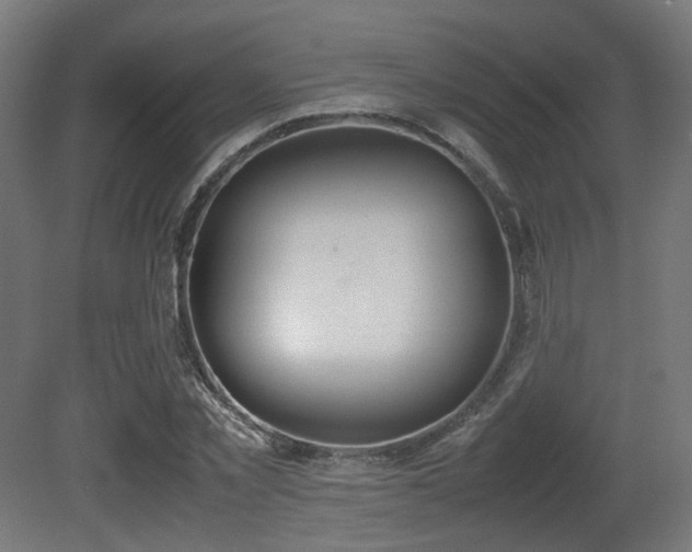X0000081270781200701111305