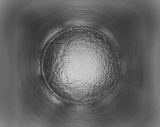 X0000081270782200701111305