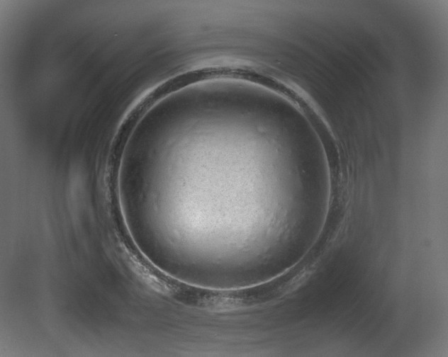 X0000081270783200701111305