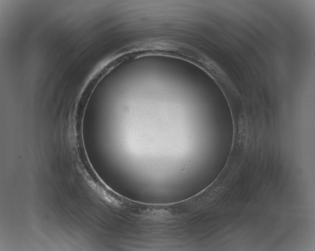 X0000081270784200701111305