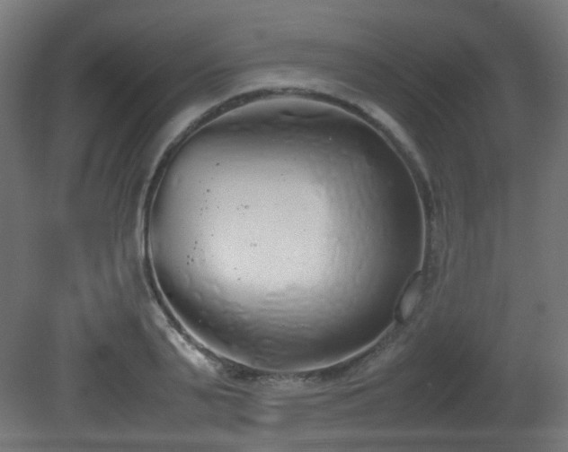 X0000081270791200701111305