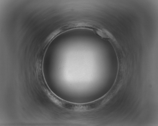 X0000081270793200701111305