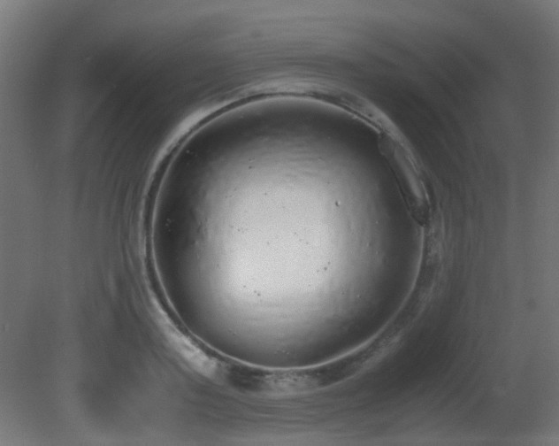 X0000081270795200701111305